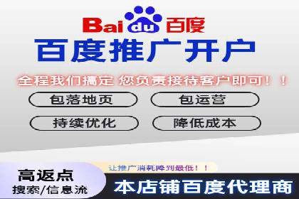 SEM代运营服务公司成功案例解析